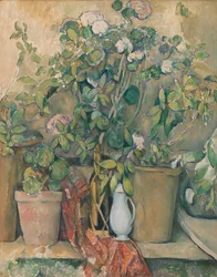 Terracotta Pots and Flowers
